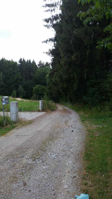 Waldgasthof - Hotel Schiederhof Wiesenfelden Buitenkant foto
